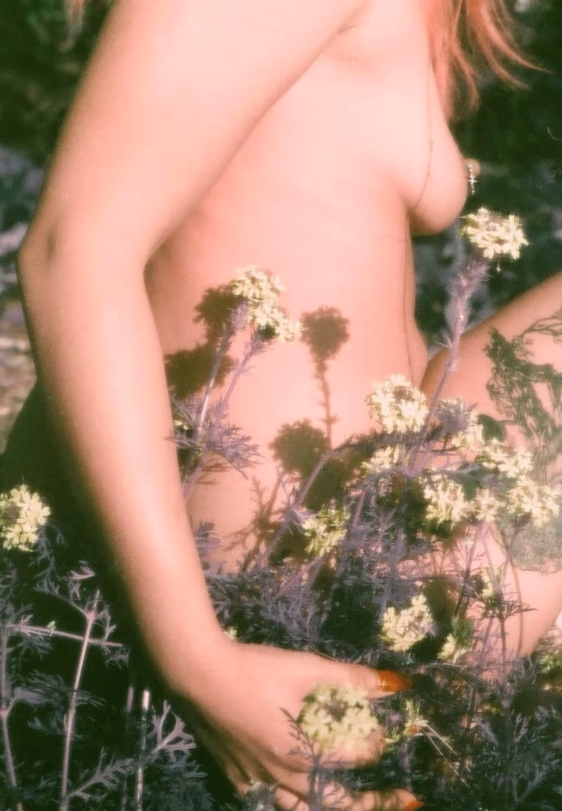 Princess Rose boudoir